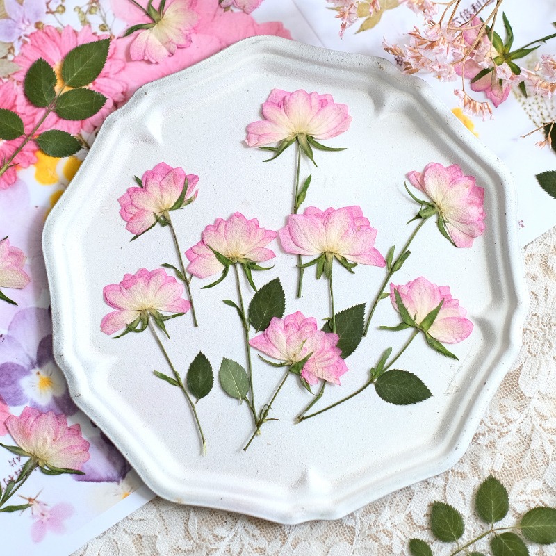 Resin Craft Ideas - 12 pezzi, Fiori Pressati Essiccati Reali