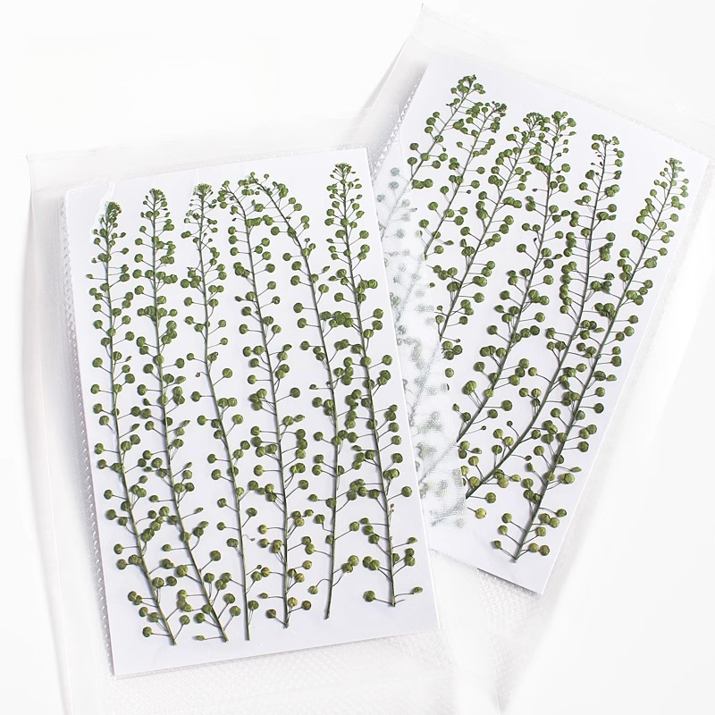 Colore naturale Campana verde  - Resin Craft Ideas recensione e prezzo