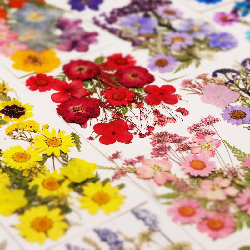 Fiori Naturali Pressati e Essi - Resin Craft Ideas recensione e prezzo