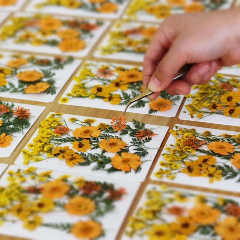 Fiori Naturali Pressati e Essi - Resin Craft Ideas recensione e prezzo