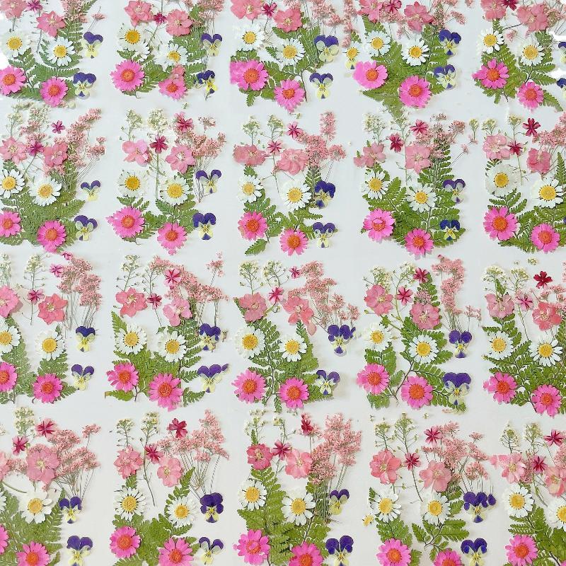 Fiori Naturali Pressati e Essi - Resin Craft Ideas recensione e prezzo