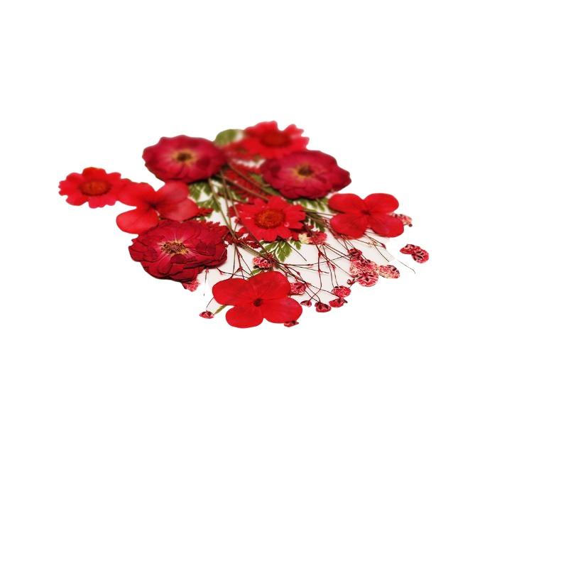 Fiori Naturali Pressati e Essi - Resin Craft Ideas recensione e prezzo