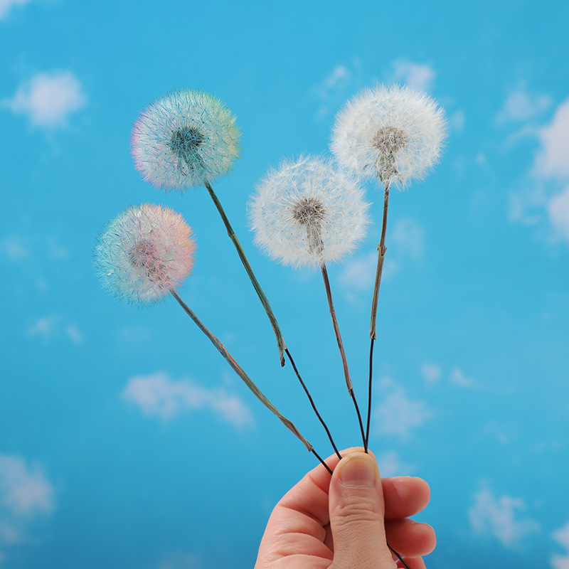Kit Fai-da-te per Resina Eposs - Resin Crafts Diy recensione e prezzo