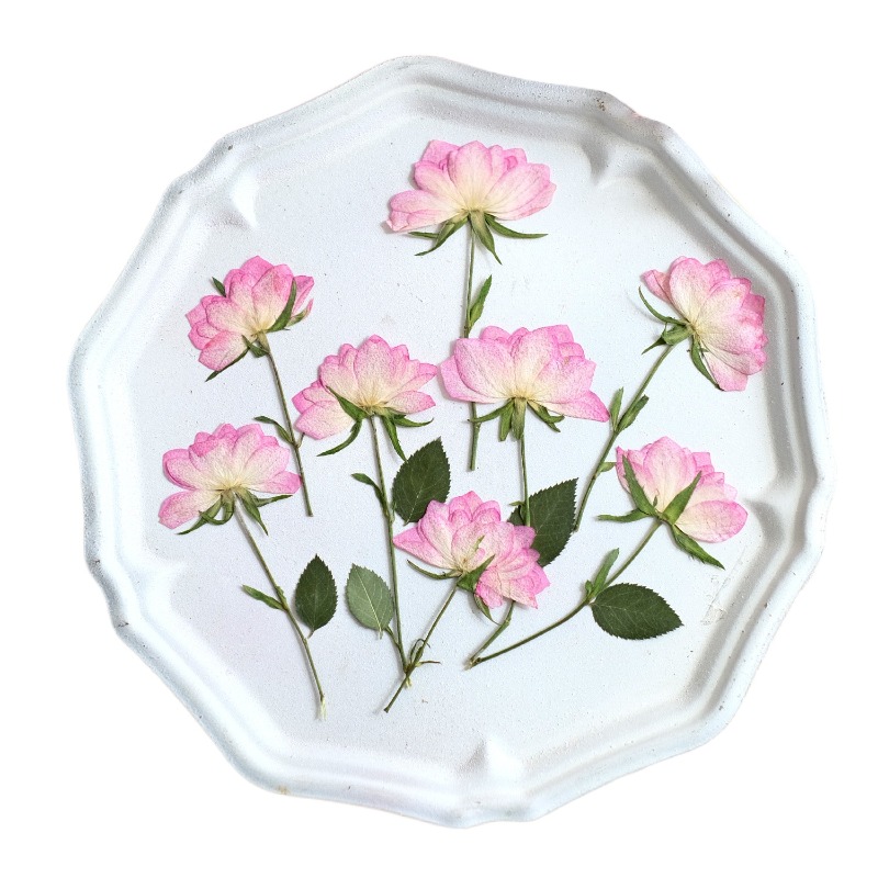 12 pezzi, Fiori Pressati Essic - Resin Craft Ideas recensione e prezzo